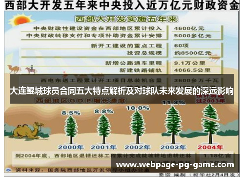 大连鲲城球员合同五大特点解析及对球队未来发展的深远影响