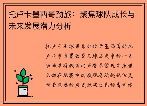 托卢卡墨西哥劲旅：聚焦球队成长与未来发展潜力分析